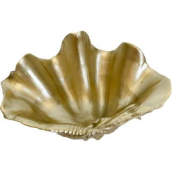 Clam Shell Small Champagne -Cozy Homeware Store 006d6121b14791770cc4316ea09eef57 thumb