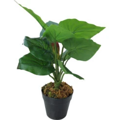 Faux Tropicana Plant