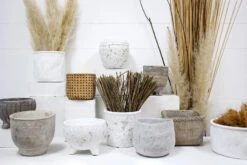 Pot Ribb Coast -Cozy Homeware Store 06ce42e2a632609b266ccc52a82fbf72 thumb