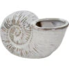 Shell Planter Ivory