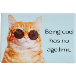Magnet Cool Age Limit