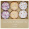 Glass Magnets S/6 Spring