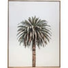 Framed Canvas Solo Palm
