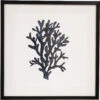 Framed Print Sea Fan 2