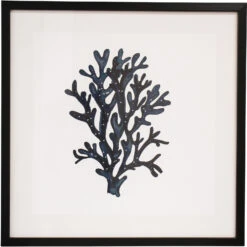 Framed Print Sea Fan 2