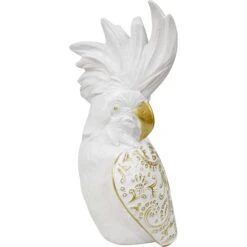 Bohemian Cockatoo Med