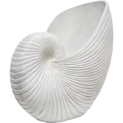 Extra Large Shell -Cozy Homeware Store 324105561d2b5204e2fb34915598a08f thumb