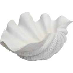 Clam Shell Giant White -Cozy Homeware Store 3860985a90ee3e0f2dfd4786e86084fb thumb