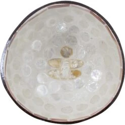 Coconut Bowl Bee Ivory