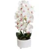 Faux Orchid Xl White