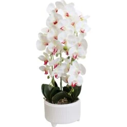 Faux Orchid Xl White