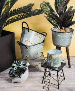 Tubs S/2 French Oval -Cozy Homeware Store 43a01cb688c36538635bfd05a0d2379a thumb