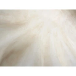 Claim Shell Xl White -Cozy Homeware Store 683fce922b79fa1e38c8a6808128ad91 thumb