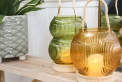 Glass Hurricane Cali Moss -Cozy Homeware Store 74bbd6a2a71c33ac536aa8e8e329aefc thumb