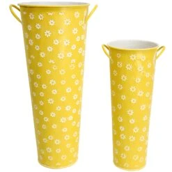 Tubs S/2 Daisy Citron