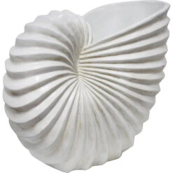 Large Shell -Cozy Homeware Store 84e113a3786a423bd94f53aa1c5f8407 thumb