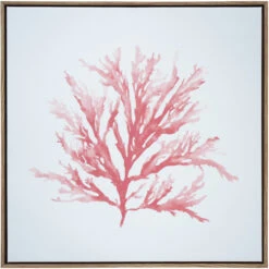 Framed Canvas Sunset Coral