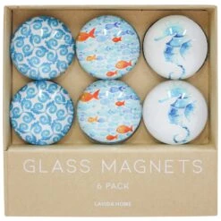 Glass Magnets S/6 Seahorse