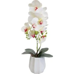 Faux Orchid Med White
