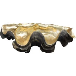 Clam Shell Bahama Med Bronze/gold