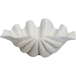 Clam Shell Giant White -Cozy Homeware Store a7b73bfd4415d9e89e02fa59584fe410 thumb