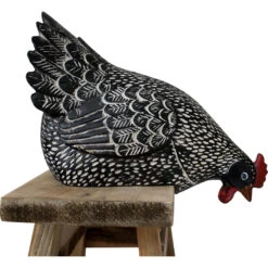 Hen Sitting Black White