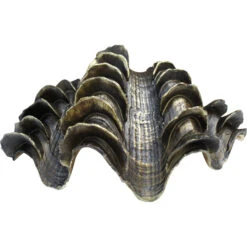 Clam Shell Bahama -Cozy Homeware Store af39a4bc1482657e67c250ddcbffbe04 thumb