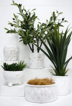 Pot Ribb Coast -Cozy Homeware Store b4200d27572d4480397e193d87d6312a thumb