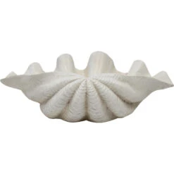 Claim Shell Xl White -Cozy Homeware Store b968536612c460b4360f6d5b27e82b28 thumb
