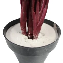 Faux Calathea Lrg -Cozy Homeware Store bedd04077b7d76799fe346a2d72f0a64 thumb