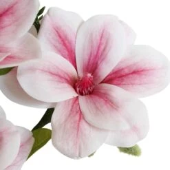 Faux Magnolia Stem Pink -Cozy Homeware Store c28253bf8d6db31a4a45da621afe3a22 thumb