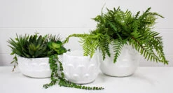 Pot Lotus -Cozy Homeware Store ed937de052ff8fc2651a6e1d820d1d87 thumb