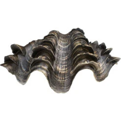 Clam Shell Bahama Med Bronze/gold -Cozy Homeware Store f9a3afed4528c4afb5997b3a67380d77 thumb