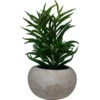 Succulent Cement Pot 3